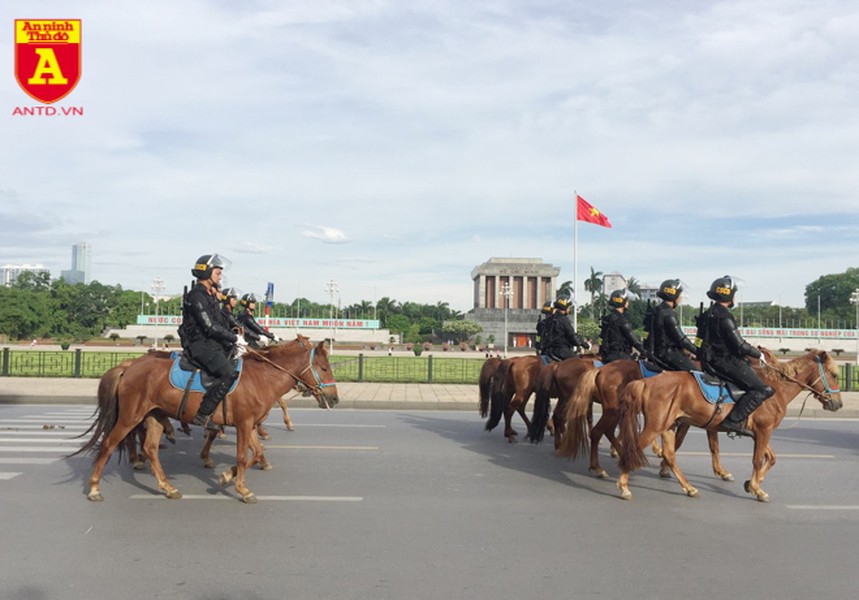 Cận cảnh dàn kỵ binh của lực lượng cảnh sát cơ động
